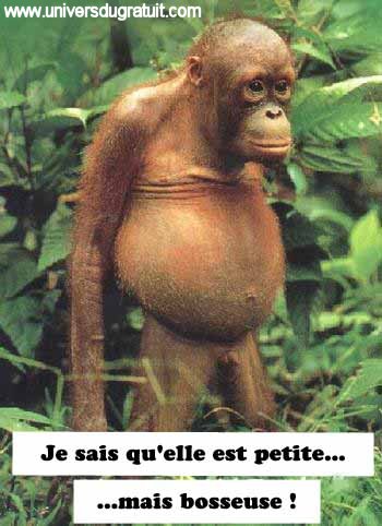 singe
