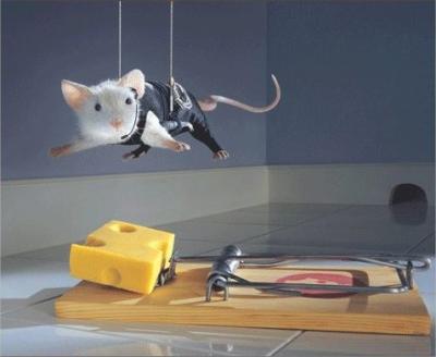 la souris