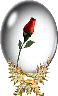 la rose